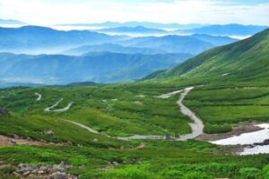 夏の信州へ！夏山と高山植物を楽しむトレッキングの旅