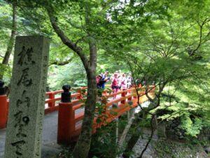 きむかつコーチによる【夏の清流遊び1Dayトレイルランニング】