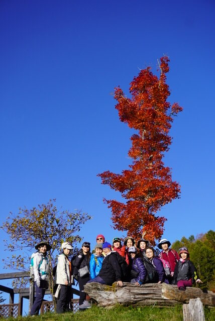 長野県富士見台高原　紅葉