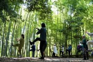 朝のじかん「山と太極拳」